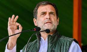 Protecting Constitution True Tribute To Freedom Fighter: Rahul Gandhi