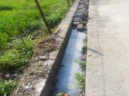 The bullies keep an eye on the government pond in Sultanpur: Drainage of water from the houses of Dalits was stopped, women demonstrated at the collectorate.