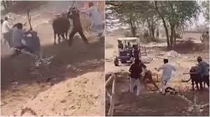 Churu News: Dalit family assaulted in Bhanipura, attempt to crush with tractor, video viral