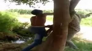 UP man stripped, tied to tree & beaten up for 'stealing wood'