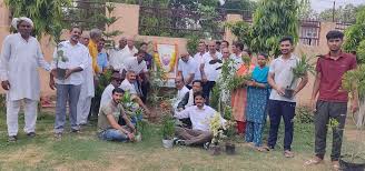 Rohtak News: Haryana Dalit and Backward Class Welfare Association planted trees